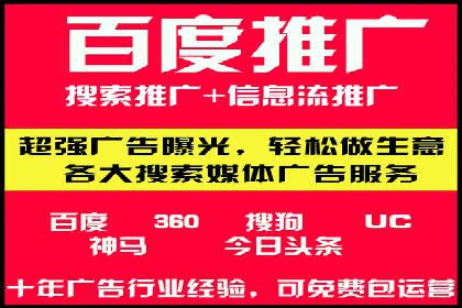 竞价排名在搜索引擎营销中的运用案例